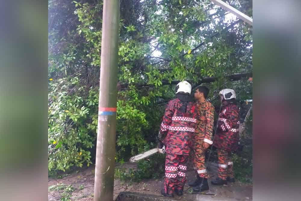 Bomba Kuala Lumpur menerima panggilan kejadian pokok tumbang di empat lokasi sekitar ibu negara pada Sabtu.