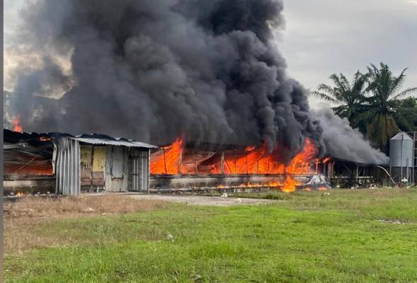 Kebakaran sekitar jam 7.00 pagi Ahad telah memusnahkan 80 peratus daripada reban mengakibatkan lebih 6,000 ekor ayam rentung. - Foto: JBPM Sarawak