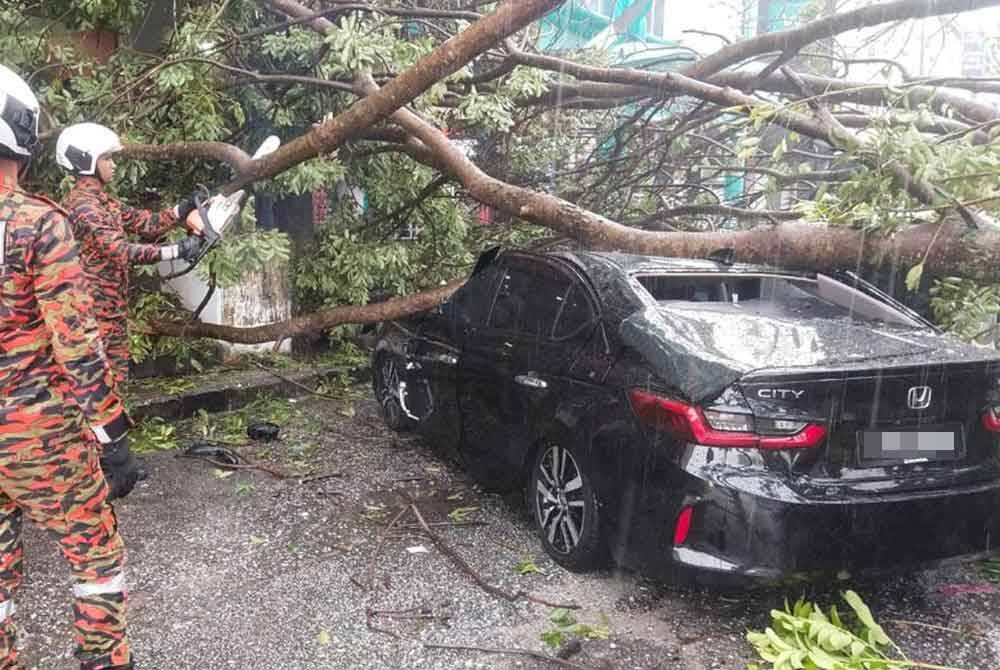 Kerja-kerja untuk mengalihkan pokok tumbang sedang dijalankan.