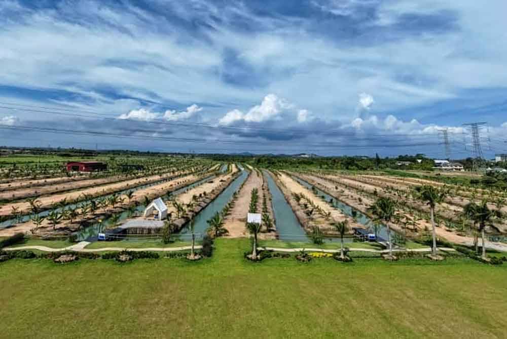 Panorama kawasan The Coco Journey yang didirikan atas tanah seluas 9.3 hektar di Klebang, Melaka.