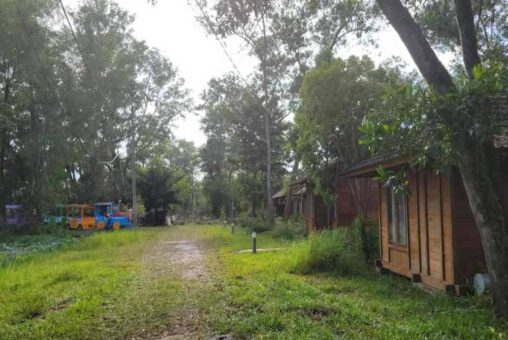 Kawasan Patro mula ditumbuhi semak selepas setahun tidak beroperasi. Foto: ihsan pembaca