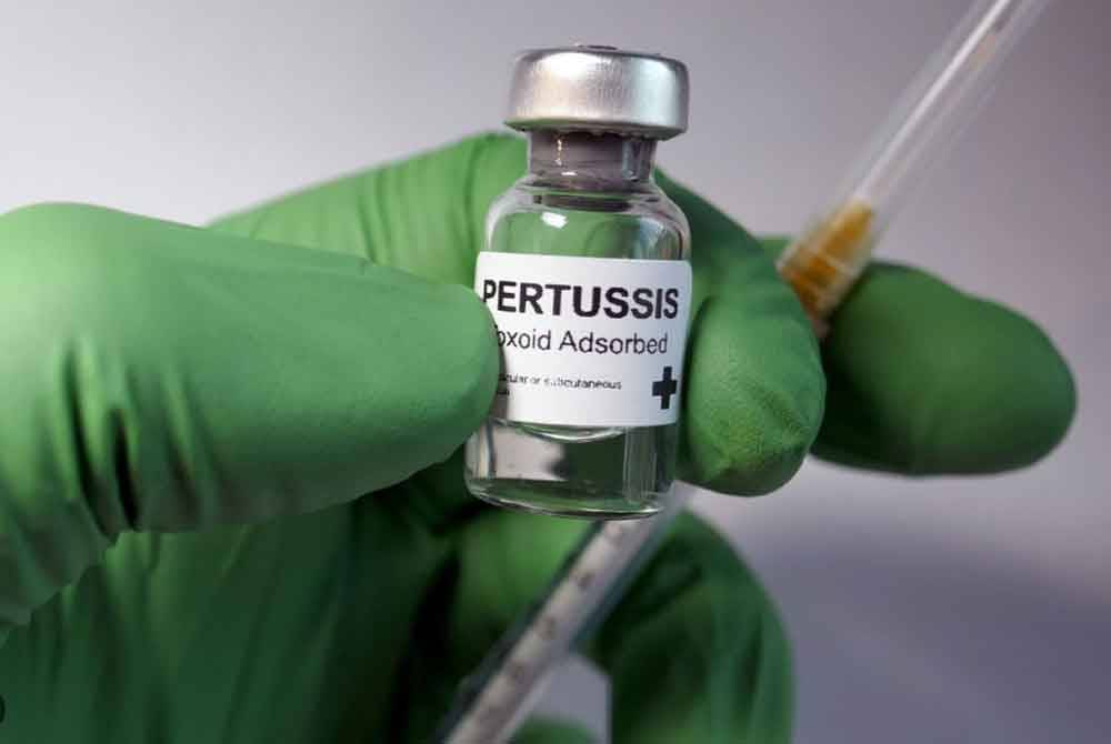 Vaksin pertussis pertama diperkenalkan pada pertengahan abad ke-20.