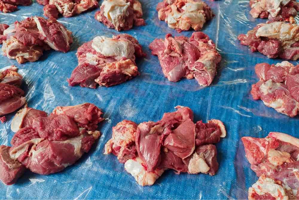 AGIHKAN daging korban mengikut anjuran syarak dan lakukanlah secara adil. -Foto: Canva