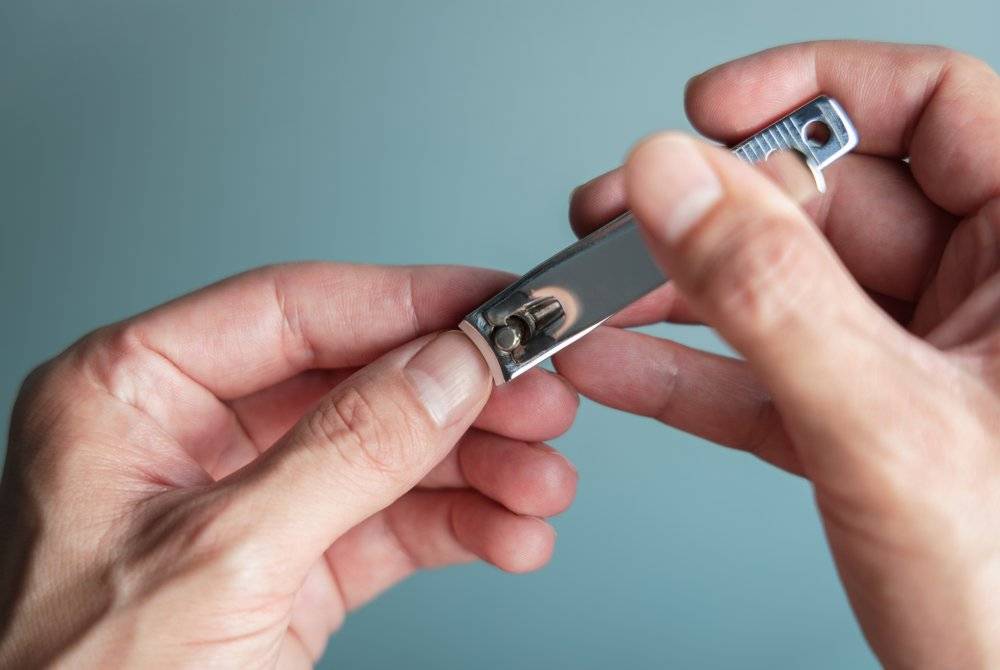 BAGI mereka yang niat untuk melakukan ibadah korban, disunatkan agar tidak memotong kuku, rambut mahupun bulu pada badan bermula 1 Zulhijah hingga haiwan korban disembelih. -Foto: Canva