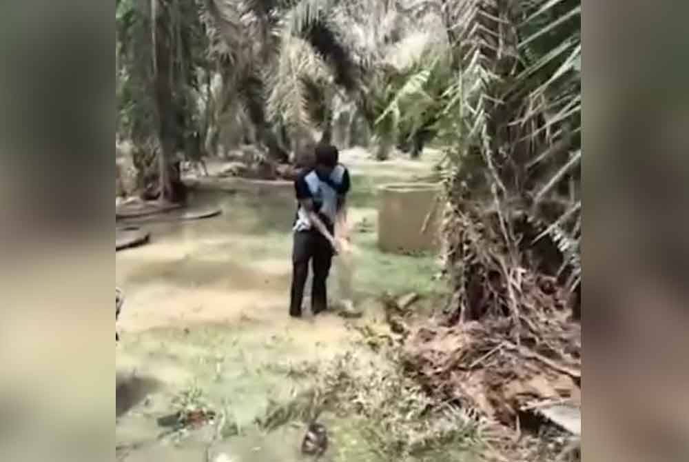 Tangkap layar video yang tular memaparkan penduduk berpesta menangkap ikan kelisa yang hanyut selepas kolam takungan pecah di Layang Layang, Kluang pada Rabu.