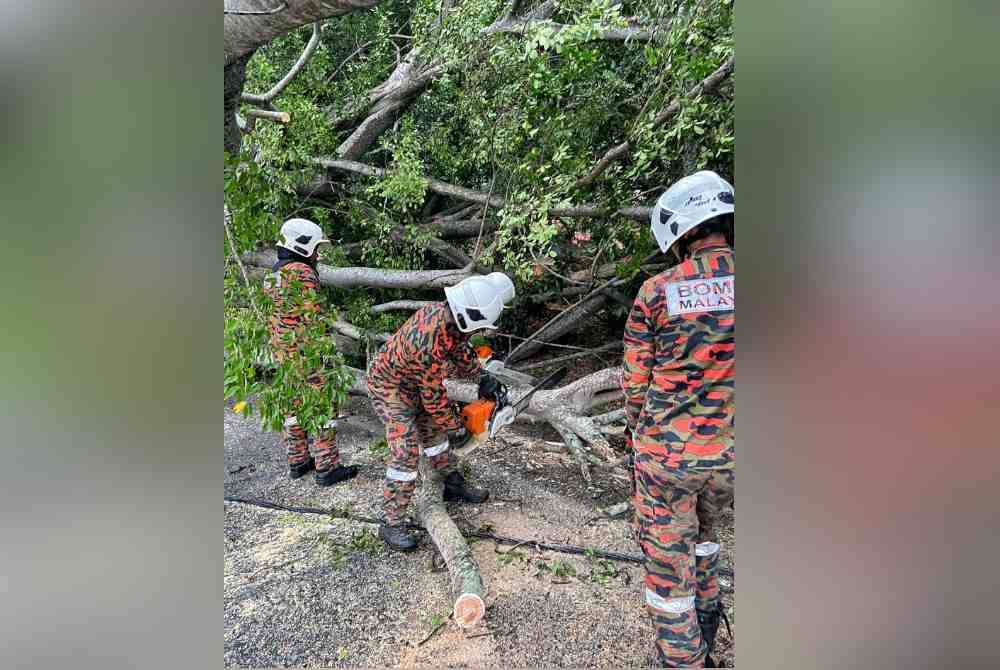 Pasukan bomba dari BBP Padang Temu sedang melakukan kerja-kerja memotong batang pokok yang tumbang di Jalan Bukit Senjuang, di Banda Hilir, di sini, pada Sabtu.