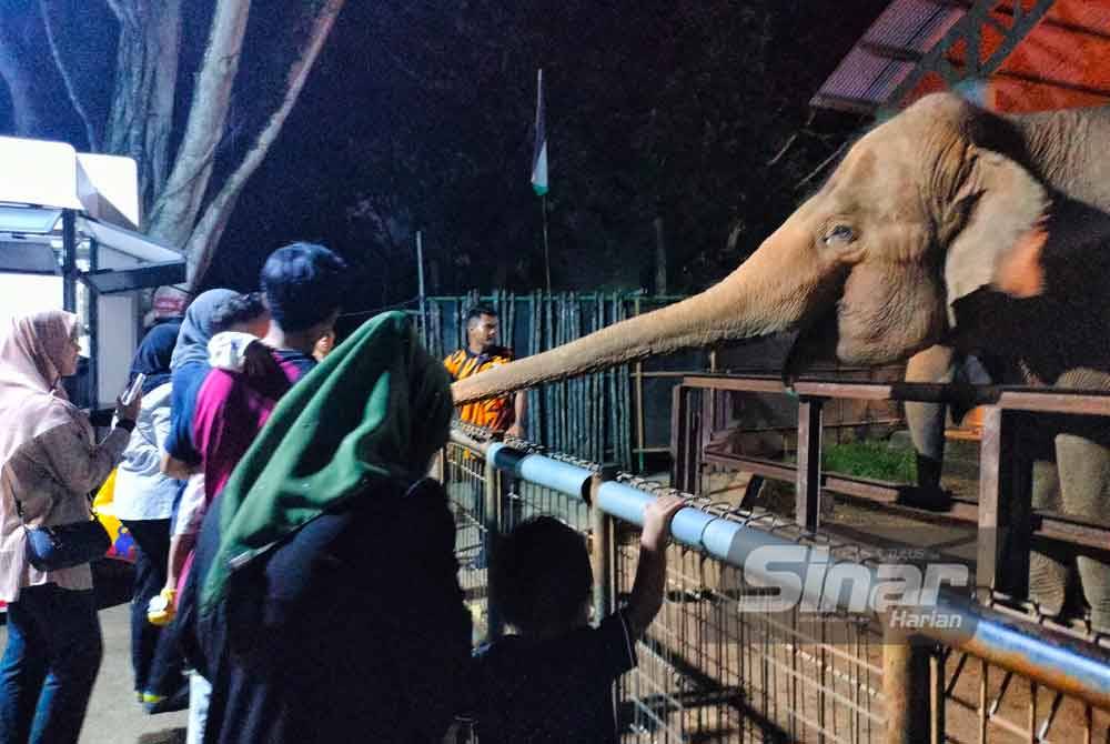 Gajah antara tarikan pengunjung pada pelaksanaan program itu.