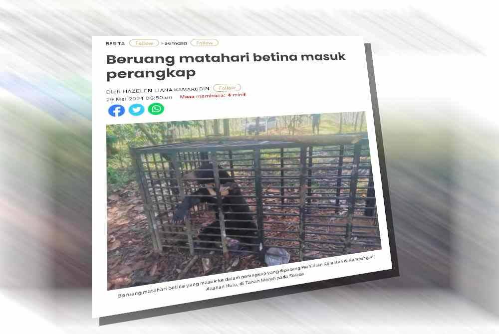 Laporan Sinar Harian