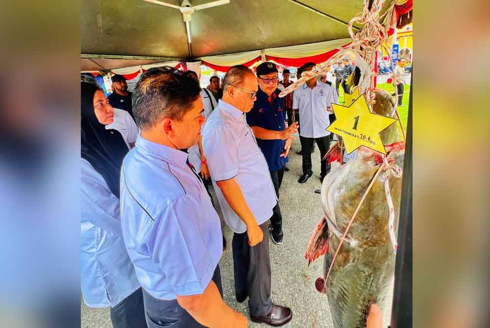 Menteri Besar Pahang, Datuk Seri Wan Rosdy Wan Ismail (tengah) diiringi Abdullah melihat hasil tangkapan ikan baung ekor merah oleh peserta pertandingan tersebut.