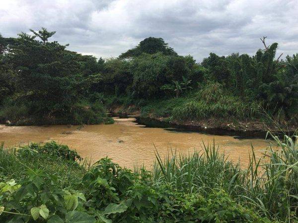 Satu jawatankuasa khas akan ditubuhkan dalam masa terdekat bagi menangani isu pencemaran terhadap Sungai Linggi. Gambar hiasan.