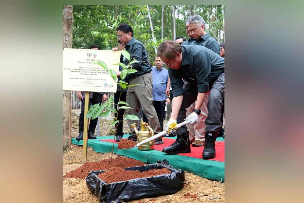 Abang Johari menanam pokok ke-35 juta pada sambutan Hari Hutan Antarabangsa peringkat Sarawak 2024 di Hutan Simpan Sabal, Simunjan pada Sabtu. Foto Bernama