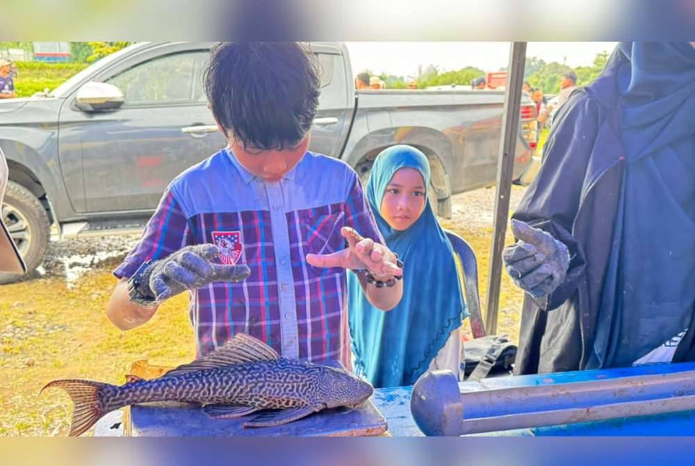 Ikan bandaraya yang ditimbang untuk proses pendataan oleh pihak DOF semasa Program Pemuliharaan Sumber Perikanan Darat siri II di denai Sungai Kebangsaan, Bangi pada Ahad.