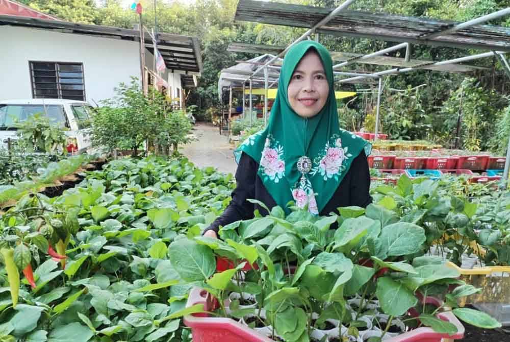 Sanida menunjukkan antara anak pokok yang dijualnya.