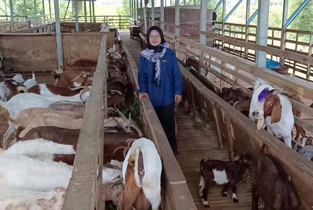 Zuriati mahu pihak berkaitan membantu menangani isu lambakan kambing import bagi menjamin industri penternakan tempatan.