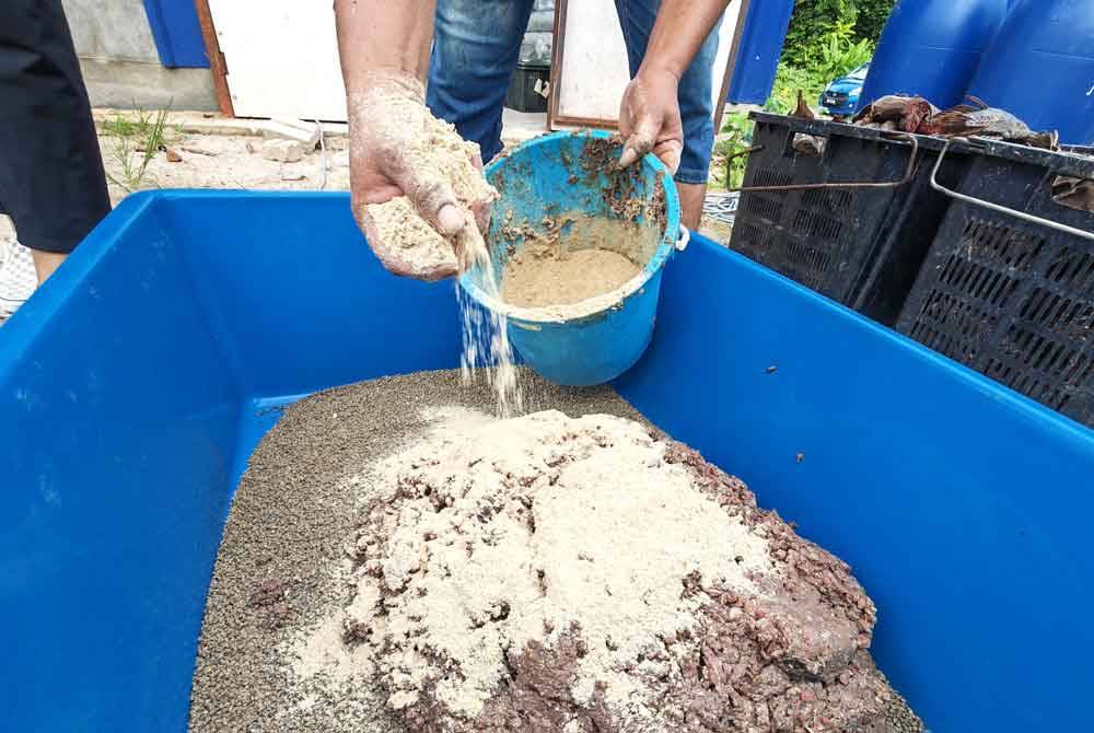 Bancuh makanan ikan dihasilkan daripada ikan bandaraya