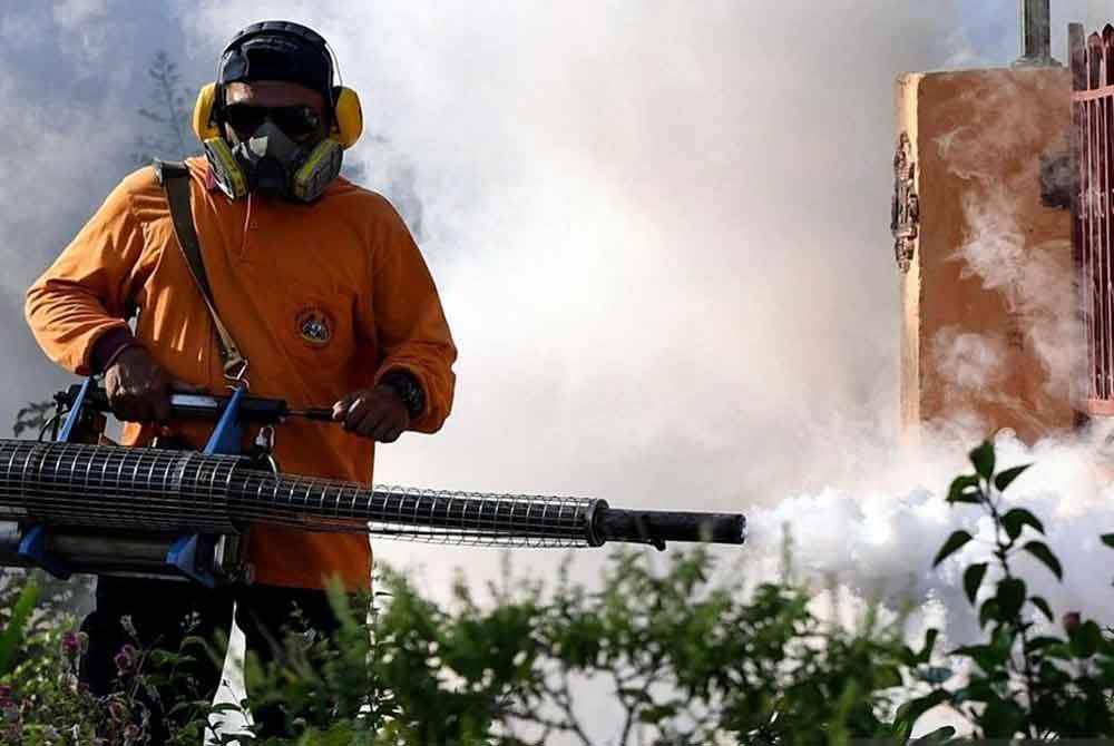 Kumulatif kes demam denggi yang dilaporkan sehingga ME23 adalah sebanyak 67,137 kes berbanding 51,331 kes bagi tempoh sama 2023. Gambar hiasan Bernama