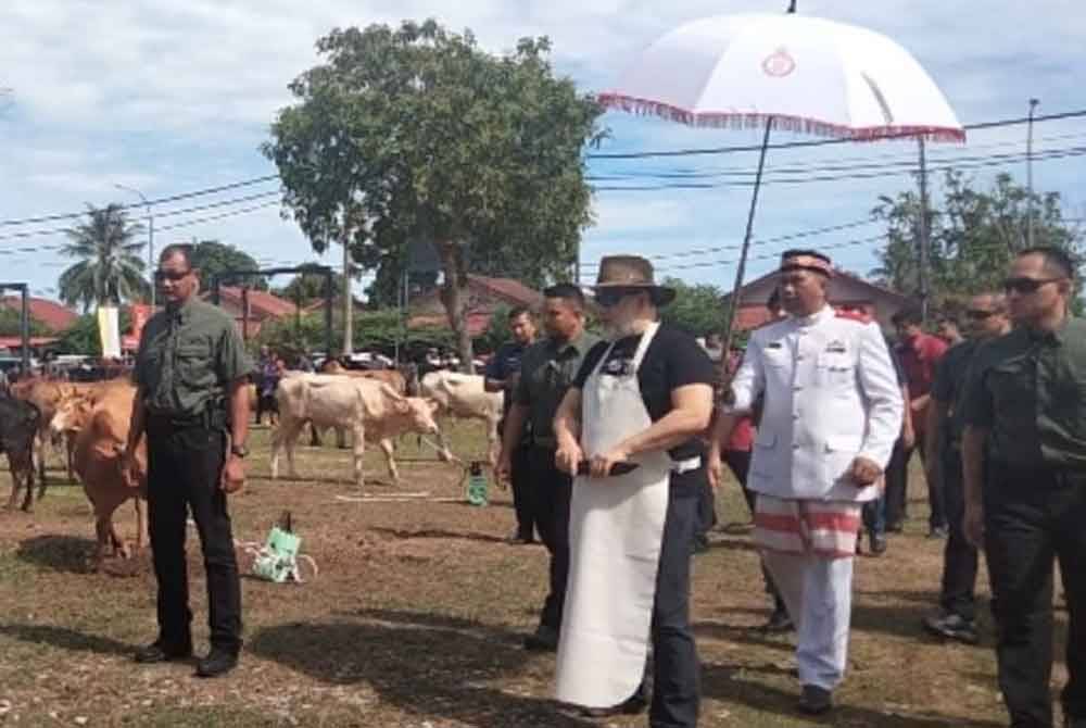 Sultan Muhammad V bersedia untuk menyempurnakan penyembelihan lembu sempena Majlis Ibadat Korban Jama'ie Majlis Agama Islam dan Adat Istiadat Melayu Kelantan (MAIK).