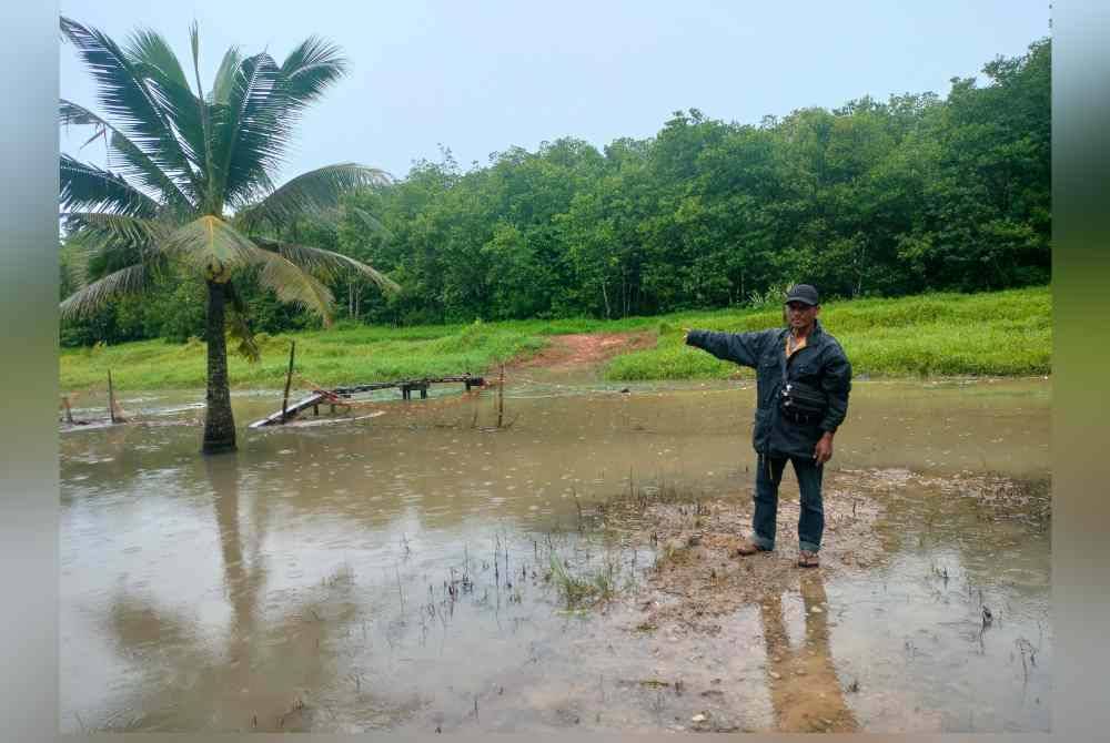 Abd Rashid menunjukkan air Sungai Moleh yang masih melimpah di kawasan halaman rumahnya.