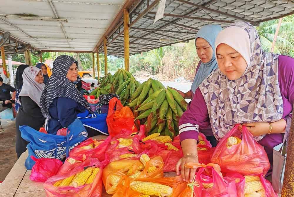 Pelanggan memilih jagung Binjai untuk dibawa pulang ke rumah