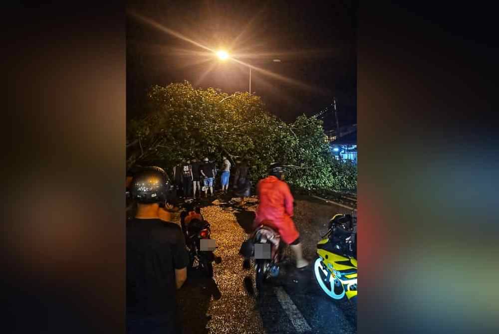 Sebatang pokok tumbang merentasi jalan raya di daerah Kubang Pasu.