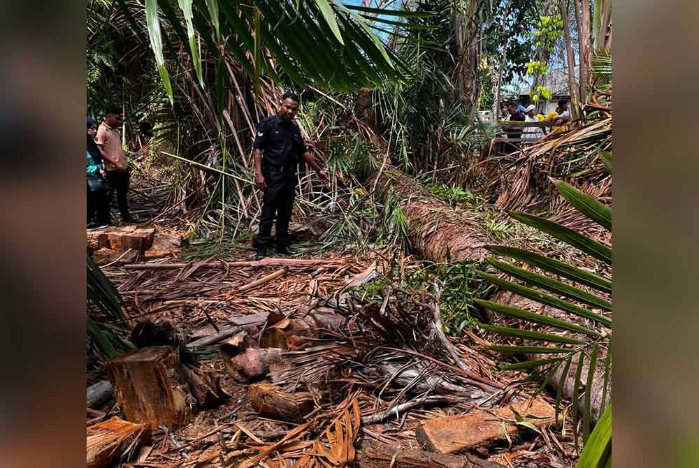 Anggota polis memeriksa lokasi seorang lelaki maut ditimpa pokok sagu di Kampung Kolam, Mengabang Telipot, di Kuala Nerus.