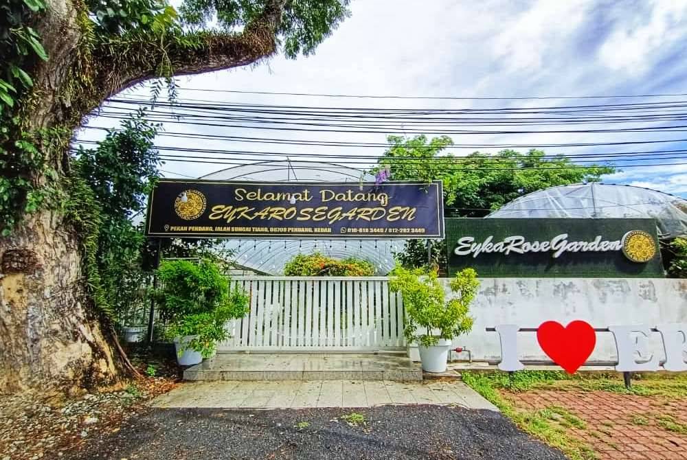 Pintu masuk Eyka Rose Garden Coffee & Cafe.