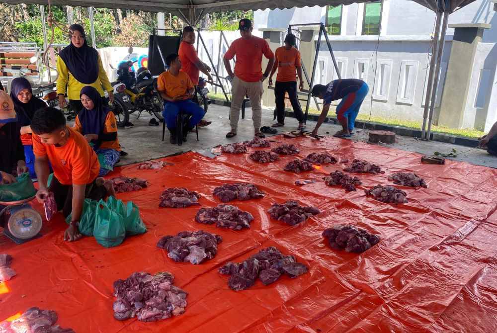 ANGKATAN Pertahanan Awam Malaysia turut terlibat dalam program korban 3rd Force.