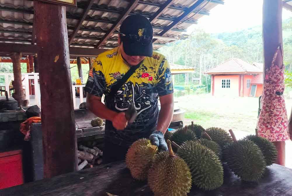 Dusun milik keluarga Ahmad Luqman Hakim menawarkan pelbagai jenis durian kayangan seperti duri hitam, musang king dan lain-lain.