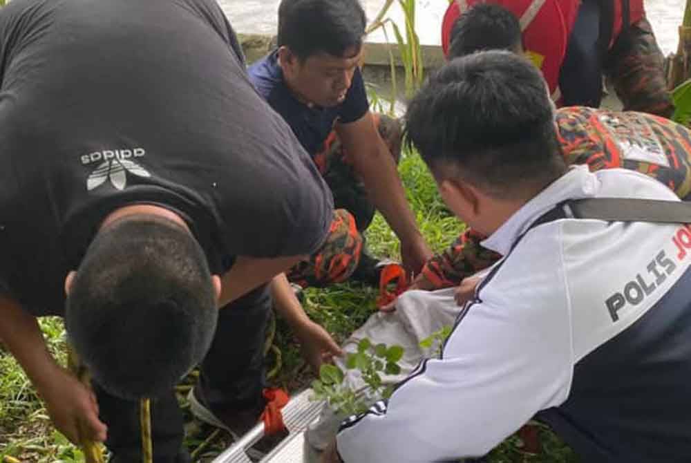 Mayat mangsa ditemukan pada jarak 10 meter, sekitar jam 3.30 petang. Foto JBPM