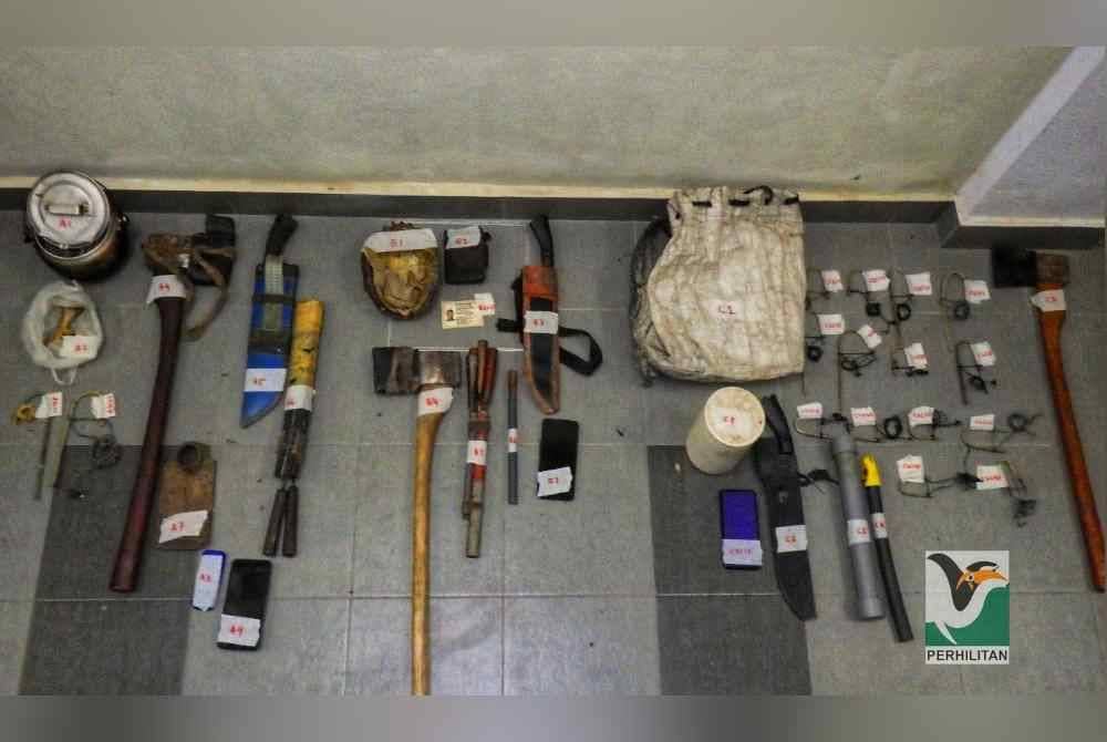 Sebahagian peralatan dan jerat ditemui di khemah warga asing tersebut. Foto ihsan Perhilitan