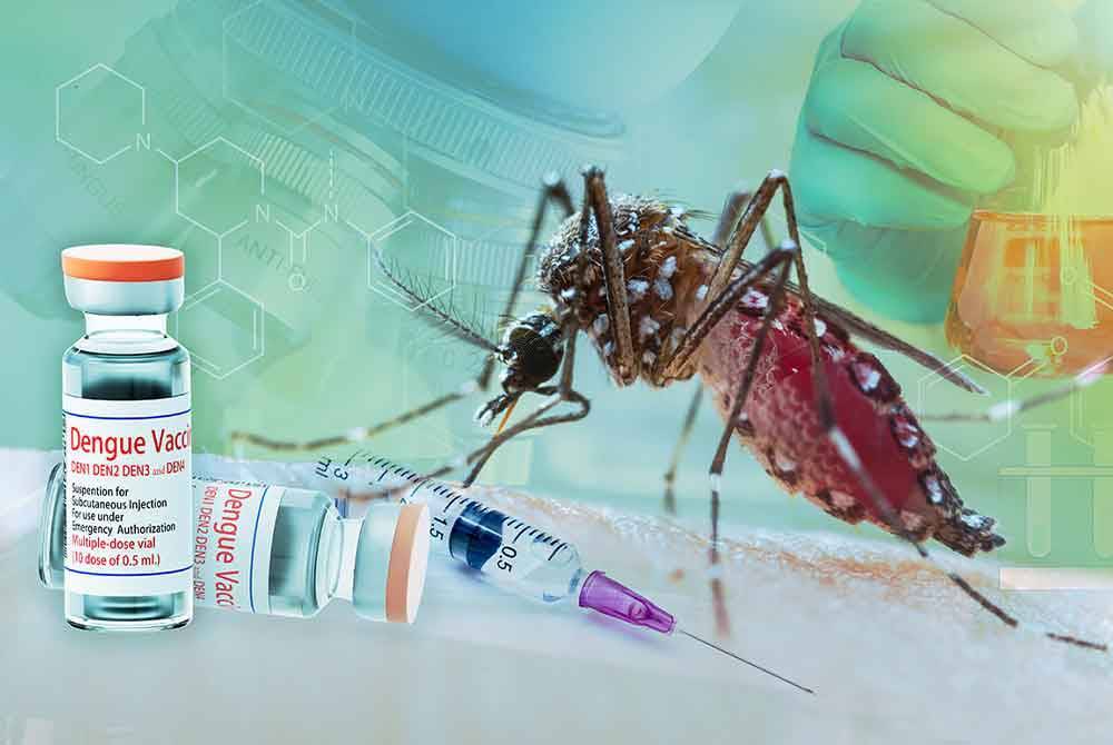 Lima kematian yang berpunca daripada demam denggi telah dilaporkan berlaku di daerah Kinta manakala satu kes di Manjung.