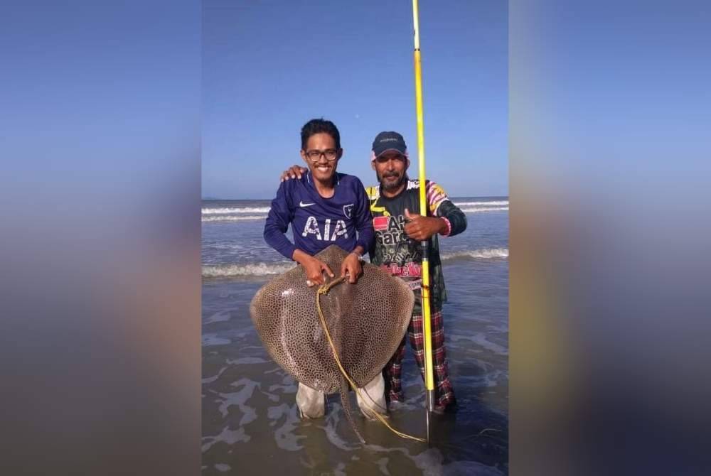 Ikan pari yang pernah didaratkan di Pantai Sepat.