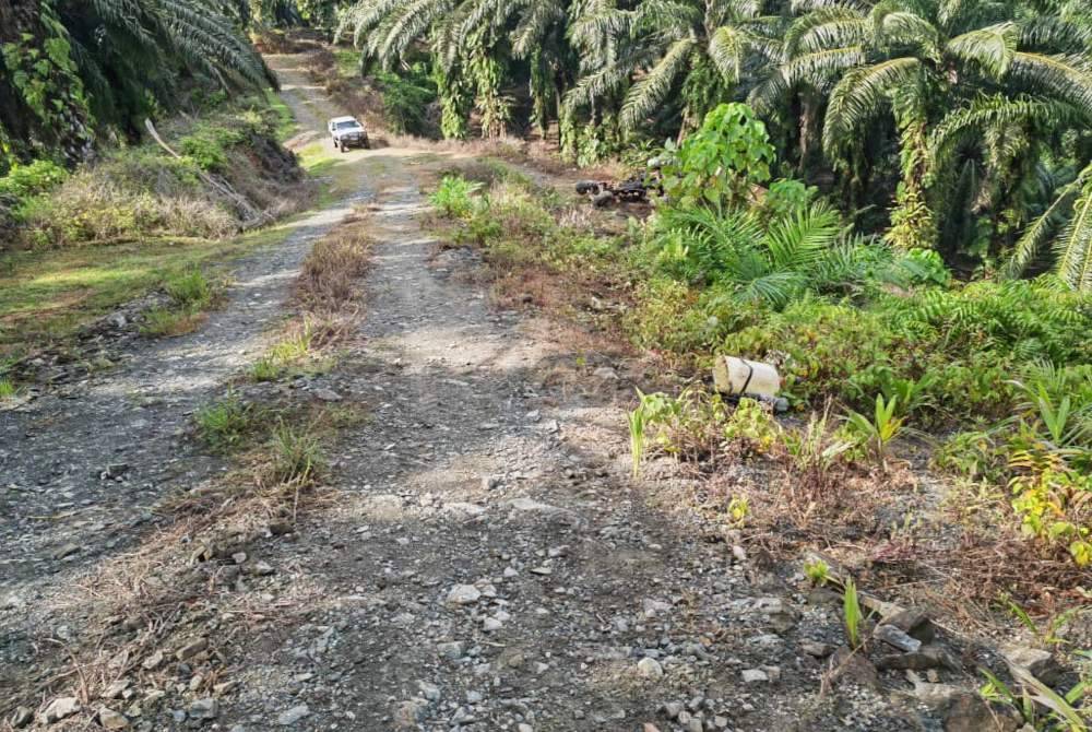 Keadaan traktor yang terjatuh ke dalam gaung di Jalan Sapi Nangoh, Beluran.