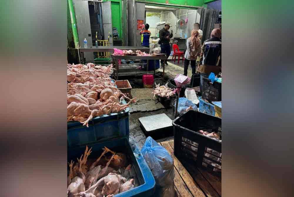 Pemeriksaan terhadap sebuah pusat sembelihan ayam di kompleks Pasar Borong, Pusat Bandar Utara Kuala Lumpur.