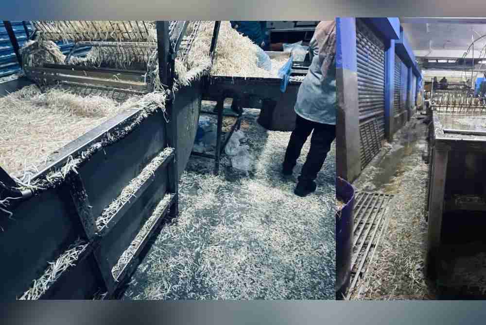 Premis memproses tauge beroperasi dalam keadaan kotor.