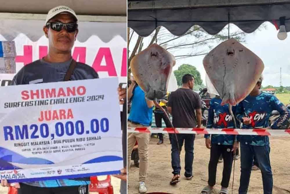 Mohd Azmi bersama hadiah kemenangan selepas muncul juara dan pemenang tempat kedua. Gambar kanan: Ikan pari seberat 6.065 kg dan 3.910 kg yang dinaikkan dan membawa tuah kepada Mohd Azmi pada pertandingan memancing Cuti-Cuti Malaysia Shimano Surfcasting di Pantai Sepat di sini pada Ahad.