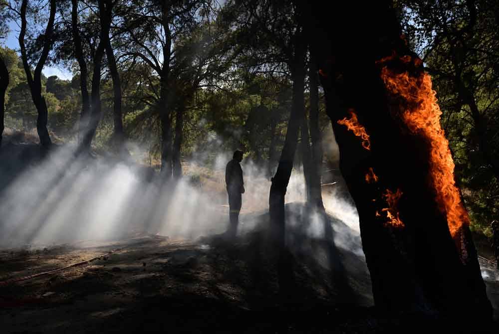 Anggota bomba memantau kebakaran hutan yang merebak sehingga Keratea, berhampiran Athens.