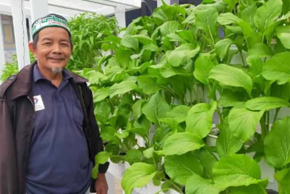 Mat Yaman bergambar bersama tamanan hidroponik di pekarangan Masjid Berdang.