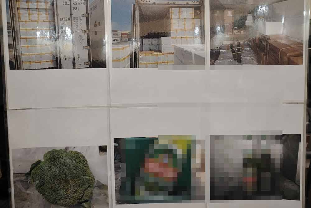 Paparan gambar kontena dan sayuran brokoli susulan pembongkaran sindiket penyeludupan minuman keras, di Pelabuhan Klang, 13 Jun lalu.