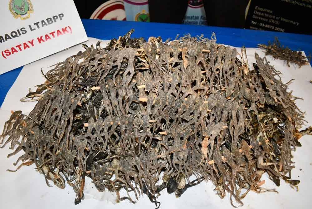 Sate katak dirampas di pintu masuk LTAPP oleh Maqis Pulau Pinang pada Jumaat.