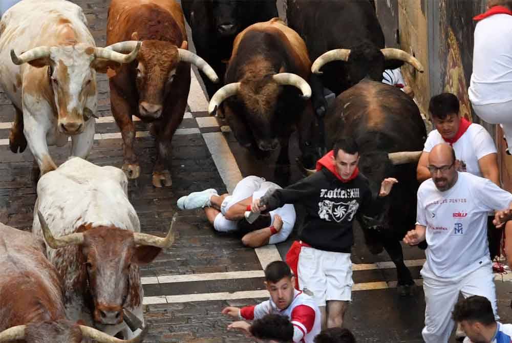 Bermula 7 hingga 14 Julai, ratusan orang akan mengejar enam ekor lembu jantan dan ada di antaranya seberat lebih 600 kilogram, melalui lorong-lorong sempit Pamplona sejauh 875 meter menuju ke arena. Foto AFP