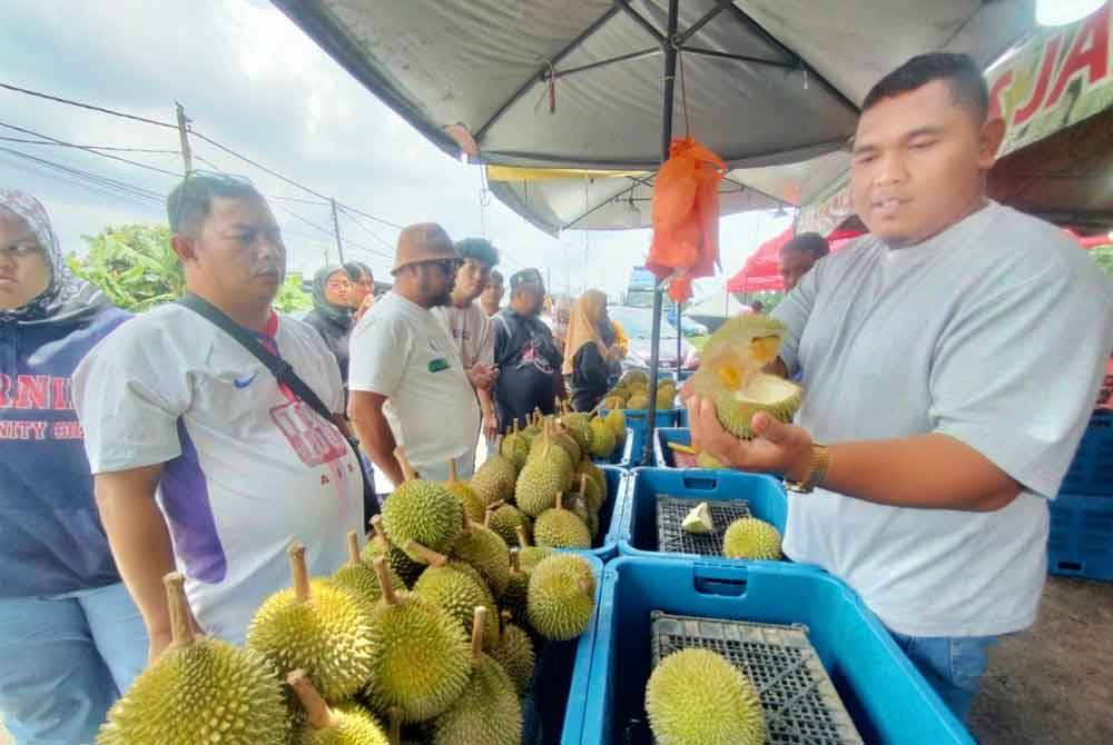 Shahrul (kanan) menunjukkan durian bermutu tinggi, namun bersaiz kecil yang dijual secara lelong.