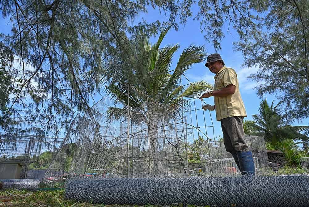Nelayan, Zulkafli Rani, 66, menyiapkan bubu ikan bagi menangkap hasil laut ketika tinjauan di Pulau Kekabu hari ini.