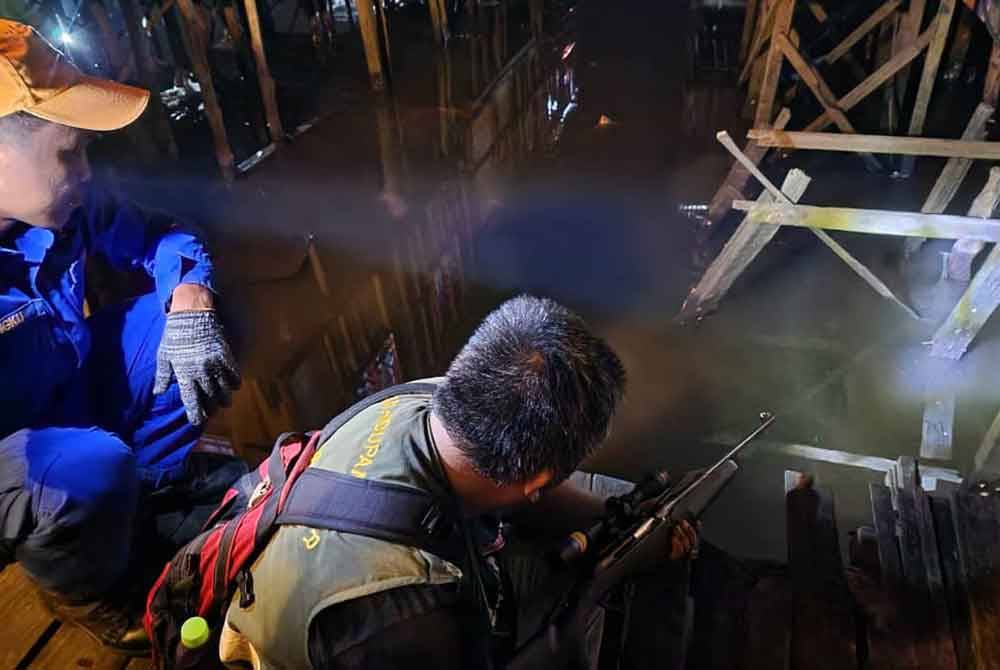 Buaya yang berjaya ditembak mati oleh JHL di Kampung Sabah Baru Lahad Datu.
