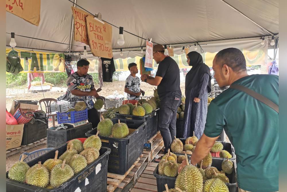 Gerai jualan durian di Seberang Takir, Kuala Nerus yang menawarkan durian percuma kepada wanita bujang diserbu pelanggan.