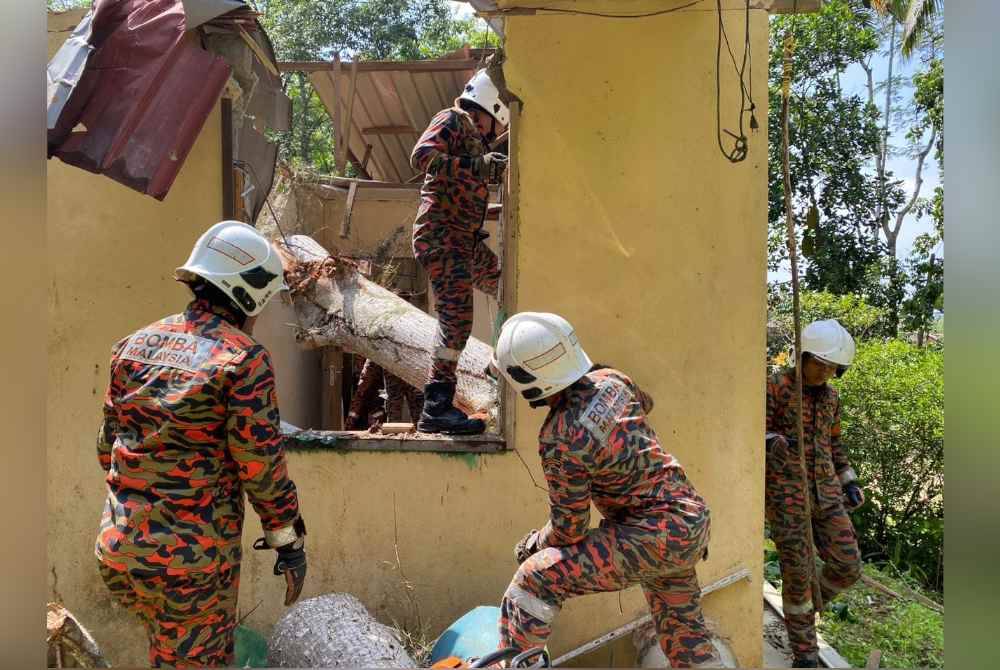 Seramai tujuh anggota ditugaskan untuk kerja-kerja menyelamat dan membersihkan sisa pokok yang tumbang.