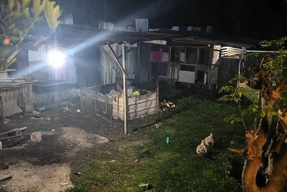 Terdapat reban ayam di lokasi penempatan haram warga asing di Taman Bandar Senawang