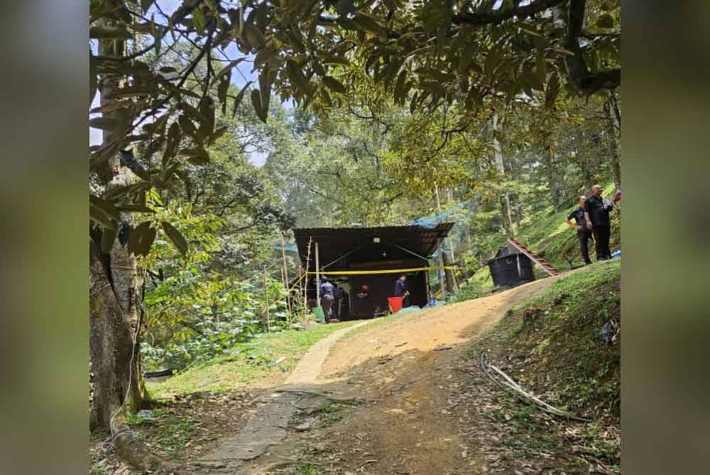Mangsa ditemui terbaring di tepi pondok berdekatan lereng bukit dengan tiga kesan tikaman objek tajam di bahagian belakang badan. Foto PDRM