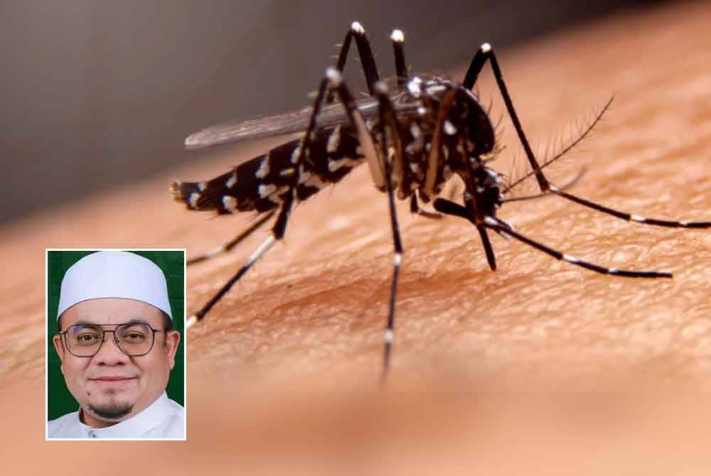 Kerajaan Kelantan mendedahkan 1,000 kompaun dengan nilai RM500,000 dikeluarkan kepada pemilik premis yang 'menternak' aedes di kawasan mereka.(Gambar hiasan), gambar kecil: Hilmi