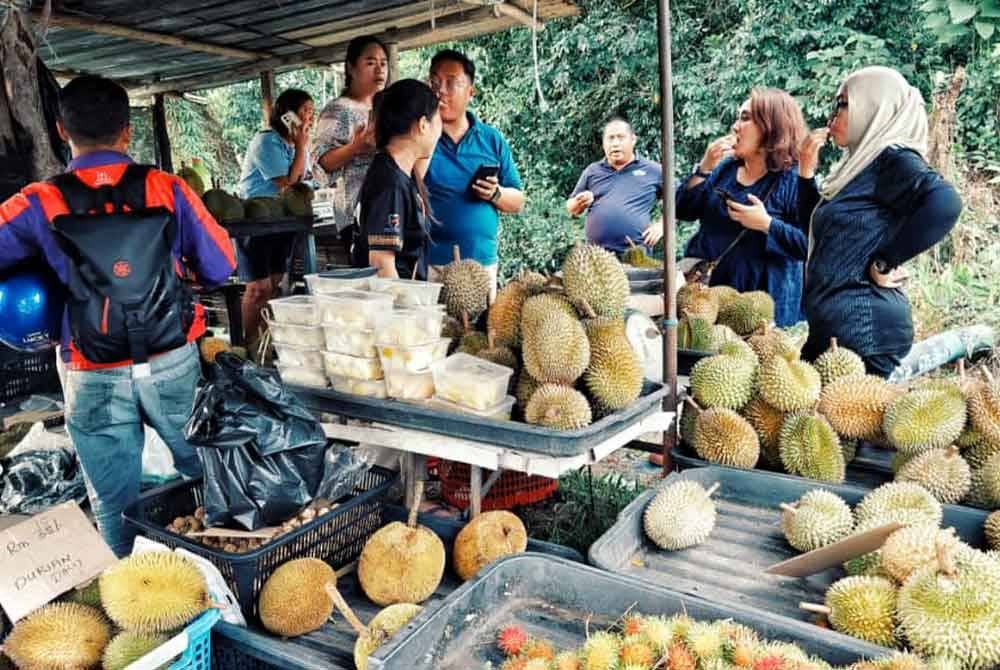 Rakan media antara yang singgah menikmati durian yang dijual di gerai Grace yang terletak di tepi jalan Tenghilan, Tuaran.